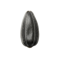 A single sunflower seed with stripes isolated against a plain and simple solid color backdrop view transparent background png