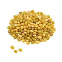 Isolated pile of split moong lentils showing a heap of yellow and green pulses on a plain space transparent background png