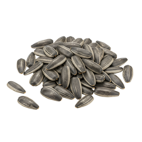 A pile of sunflower seeds with a striped pattern on a plain isolated contrasting surrounding area transparent background png