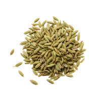 A pile of fennel seeds arranged centrally on a plane surface in a studio setting overhead view transparent background png