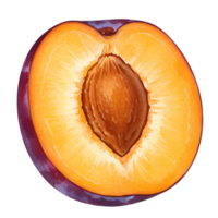 A vibrant illustration of a plum cut in half revealing its pit on a plain isolated space around it transparent background png