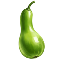 A single light green calabash gourd with a curved stem isolated on a solid color background plain studio shot transparent background png