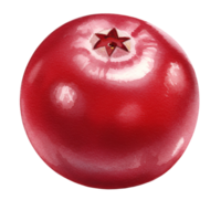 A close up view of a single shiny cranberry with a star shaped pattern at the top on a plain space transparent background png