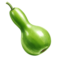 A single light green bottle gourd with a stem isolated against a plain solid color backdrop transparent background png