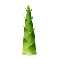 Isolated image showcasing a vibrant green bamboo shoot against a plain background in a studio shot transparent background png