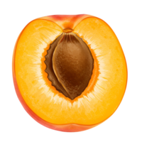 A vibrant image displaying a halved peach with its pit prominently visible against a plain backdrop transparent background png