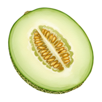 A halved honeydew melon displaying its seeds and light green flesh in a vibrant illustration style transparent background png