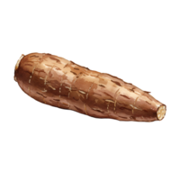 A single cassava root vegetable with its brown skin shown on a plain neutral color space around it transparent background png