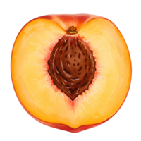 A close up view of a halved peach showing the pit and the yellow and red flesh of the fruit inside transparent background png