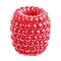 A vibrant close up of a single raspberry against a plain backdrop in sharp focus detail view transparent background png