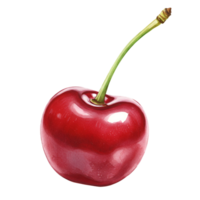 A single cherry with a long green stem isolated against a solid color plain simple background view close up transparent background png