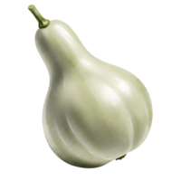 Isolated image of a light green bottle gourd with a stem on a plain solid color surrounding area transparent background png