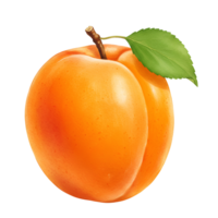 Isolated apricot with a stem and a green leaf on a plain setting, close up studio shot of the fruit transparent background png