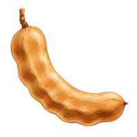 Illustration of a single tamarind pod with a stem on an isolated simple colored plane view image transparent background png