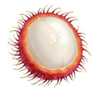 A single rambutan fruit cut open revealing the white flesh against a simple plain backdrop view transparent background png