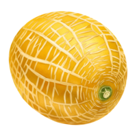 A single view of a cantaloupe with a yellow rind and light colored netting on a plain isolation transparent background png