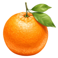 An illustration of a single orange with stem and leaves against a plain colored space around it transparent background png