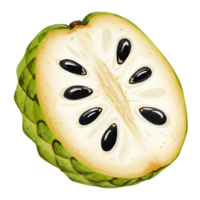 A sliced custard apple showing its seeds and textured green skin on a plain surrounding transparent background png