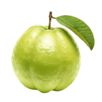 uma solteiro goiaba fruta com uma haste e folha em uma avião configuração mostrando Está suave pele e volta forma transparente fundo png