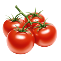 A cluster of four vibrant tomatoes still attached to their green stem on a plain setting image transparent background png