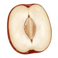 A halved jujube fruit displaying its inner flesh and seed against a simple plain backdrop view close up transparent background png