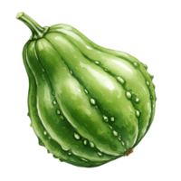 Watercolor painting of a chayote squash with a stem on a plain surrounding color field art transparent background png