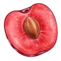 A watercolor illustration of a halved plum with a visible pit on a plain isolated space transparent background png