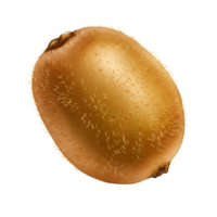 A close up view of a golden kiwi fruit with a fuzzy skin isolated on a plain area around it transparent background png