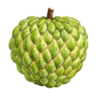 A single sugar apple fruit with a stem isolated on a plain bright solid color backdrop view from the front transparent background png