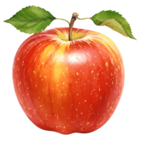 A single red apple with green leaves and a stem isolated on a plain transparent area view close up transparent background png