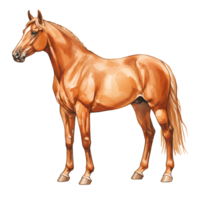 Illustration of a chestnut horse standing still with a white stripe on its face view from side transparent background png