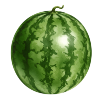 Isolated whole watermelon with light and green stripes on a plain surrounding field of empty space transparent background png