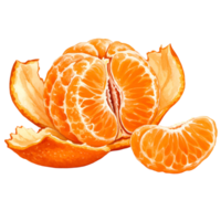 A peeled tangerine with segments visible and one segment separated on a transparent surface transparent background png