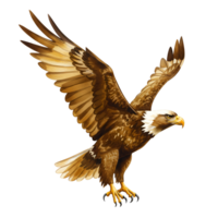 Illustration of a bald eagle with spread wings and white head against a plain backdrop transparent background png