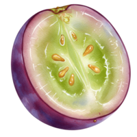A vibrant half grape with seeds and a light green interior on a plain colored setting view transparent background png
