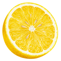 A single lemon slice with a white rind and yellow pulp on a plain background in a close up shot transparent background png