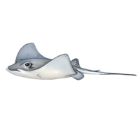 A cartoon illustration of a stingray with a long tail swimming on a plain background view from the side transparent background png