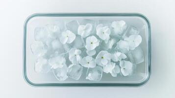 Decorative ice tray filled with white flowers and ice cubes in a glass container on a white background photo