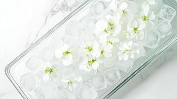 Refreshing white flowers floating atop ice cubes in a glass container on a marble surface photo