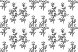 Line art botanical seamless floral pattern with celandine illustration.Black outline repeating plant pattern in white background. Graphic design for Fashion Cover Textile Coloring Page Birthday vector
