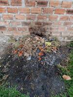 A pile of burned trash sits at the base of a brick wall photo