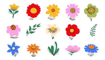 Floral Set of Hand Drawn Herbs in Doodle Style. Colorful flowers and foliage with cute line sketches of branches isolated on white background. Collection of nature plants perfect for invitations vector