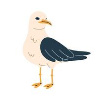 Seagull, sea bird standing, front view. Marine nautical beach fauna. vector