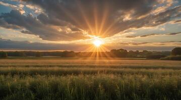 Sunlight breaking through clouds over a green field highlighting climate change effects photo