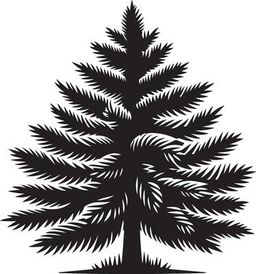 The black and white creative illustration of a pine tree