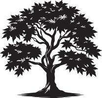 The black and white silhouette of a tree for your design vector