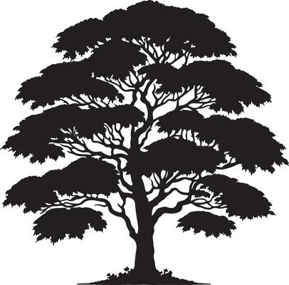 black and white silhouette of a tree for your design