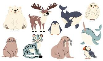 set of flat illustrations in a simple children's style. Cute animals of the north pole. Polar bear walrus walrus penguin snow leopard seal orca polar owl narwhal vector
