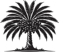 The palm tree with fruit on it vector