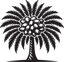 The unique palm tree with fruit on it vector